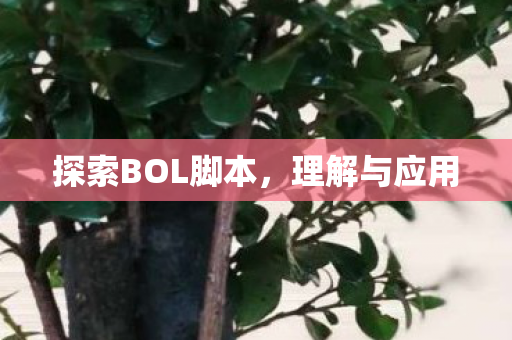探索BOL脚本,理解与应用 探索BOL脚本,理解与应用