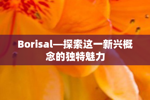 Borisal—探索这一新兴概念的独特魅力 Borisal—探索这一新兴概念的独特魅力