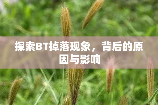 探索BT掉落现象,背后的原因与影响 探索BT掉落现象,背后的原因与影响