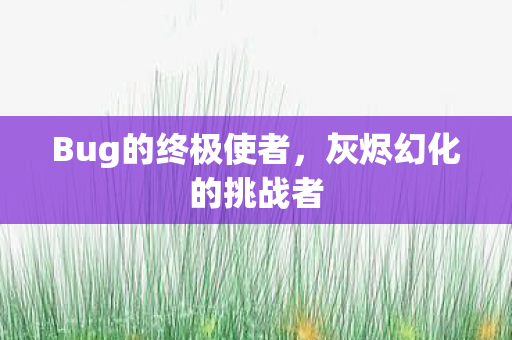 Bug的终极使者,灰烬幻化的挑战者 Bug的终极使者,灰烬幻化的挑战者