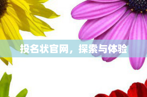 投名状官网,探索与体验 投名状官网,探索与体验