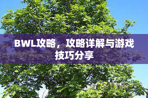 BWL攻略,攻略详解与游戏技巧分享 BWL攻略,攻略详解与游戏技巧分享