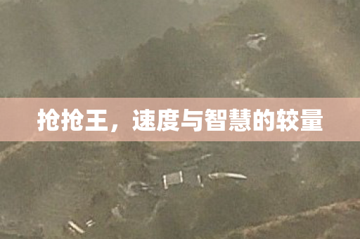 抢抢王,速度与智慧的较量 抢抢王,速度与智慧的较量