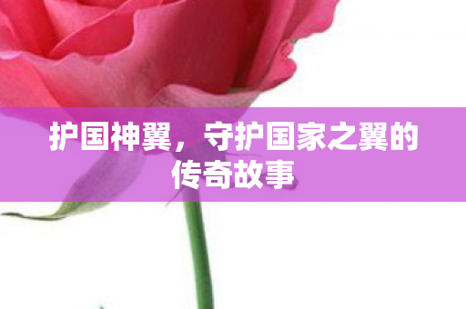 护国神翼,守护国家之翼的传奇故事 护国神翼,守护国家之翼的传奇故事
