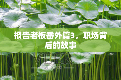 报告老板番外篇3，职场背后的故事