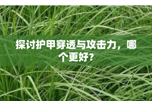 探讨护甲穿透与攻击力,哪个更好? 探讨护甲穿透与攻击力,哪个更好?