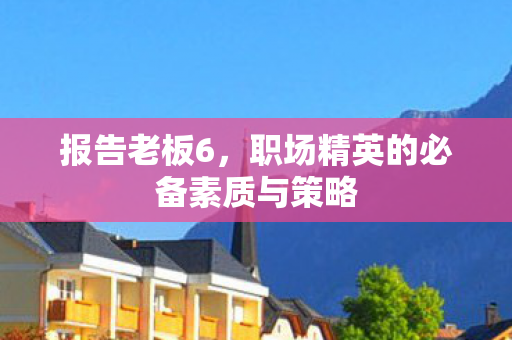 报告老板6,职场精英的必备素质与策略 报告老板6,职场精英的必备素质与策略