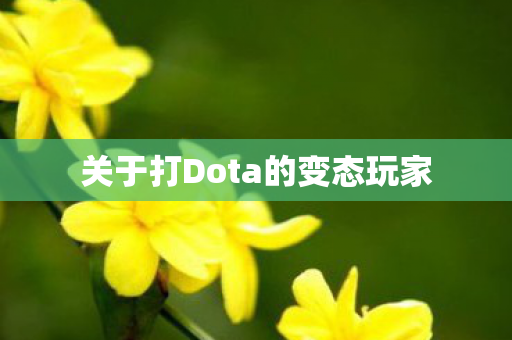 关于打Dota的变态玩家 关于打Dota的变态玩家
