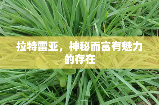 拉特雷亚,神秘而富有魅力的存在 拉特雷亚,神秘而富有魅力的存在