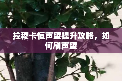 拉穆卡恒声望提升攻略,如何刷声望 拉穆卡恒声望提升攻略,如何刷声望