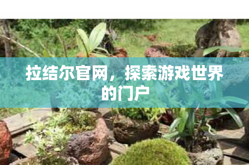 拉结尔官网,探索游戏世界的门户 拉结尔官网,探索游戏世界的门户