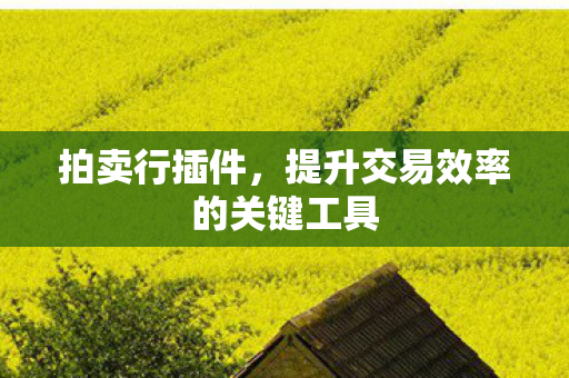 拍卖行插件，提升交易效率的关键工具