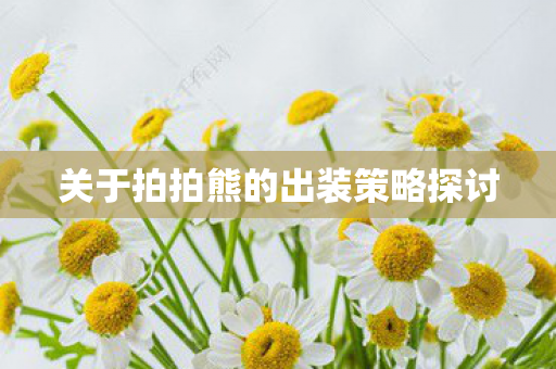 关于拍拍熊的出装策略探讨 关于拍拍熊的出装策略探讨