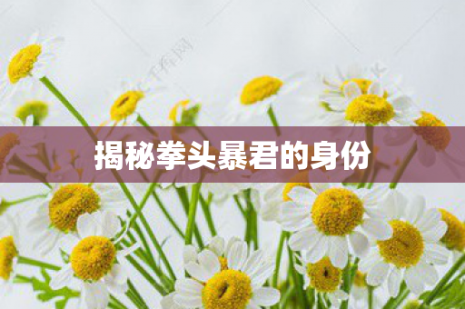 揭秘拳头暴君的身份
