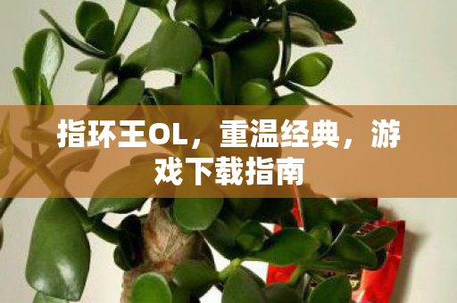 指环王OL,重温经典,游戏下载指南 指环王OL,重温经典,游戏下载指南