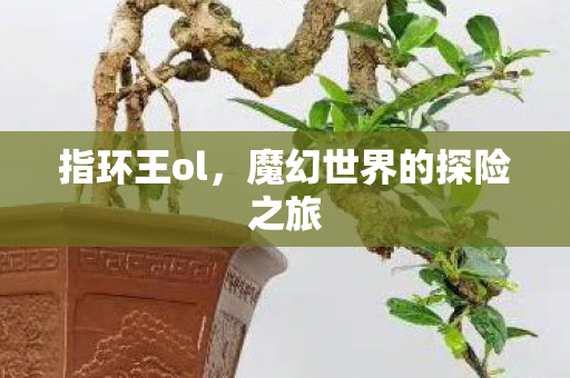 指环王ol,魔幻世界的探险之旅 指环王ol,魔幻世界的探险之旅