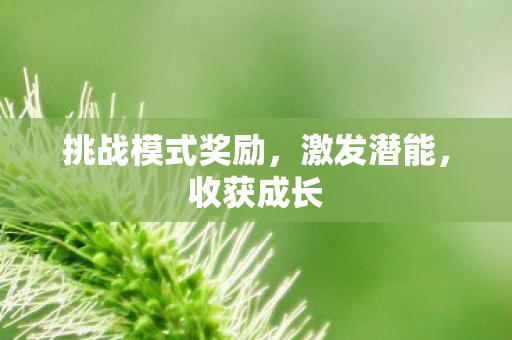 挑战模式奖励,激发潜能,收获成长 挑战模式奖励,激发潜能,收获成长