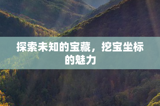 探索未知的宝藏,挖宝坐标的魅力 探索未知的宝藏,挖宝坐标的魅力