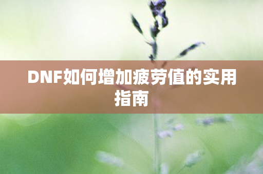 DNF如何增加疲劳值的实用指南 DNF如何增加疲劳值的实用指南
