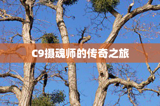 C9摄魂师的传奇之旅