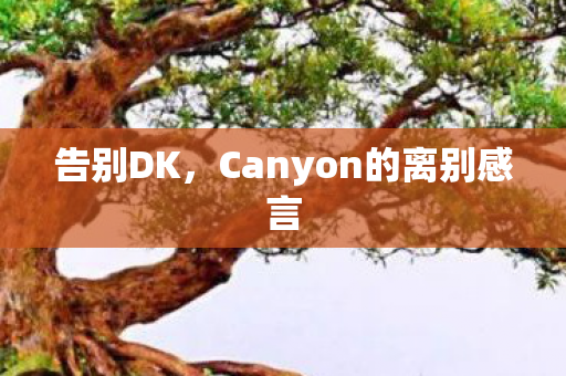 告别DK，Canyon的离别感言