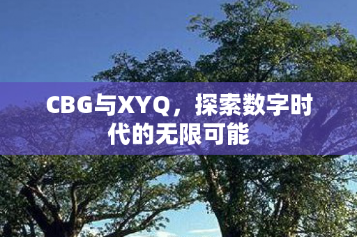 CBG与XYQ,探索数字时代的无限可能 CBG与XYQ,探索数字时代的无限可能
