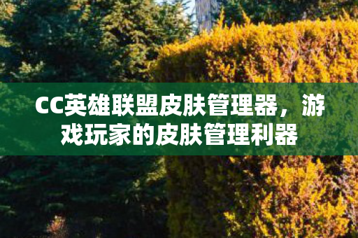 CC英雄联盟皮肤管理器,游戏玩家的皮肤管理利器 CC英雄联盟皮肤管理器,游戏玩家的皮肤管理利器