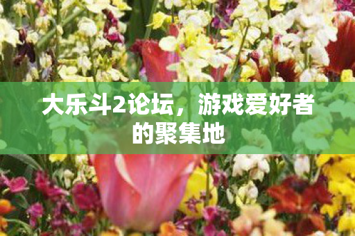 大乐斗2论坛,游戏爱好者的聚集地 大乐斗2论坛,游戏爱好者的聚集地