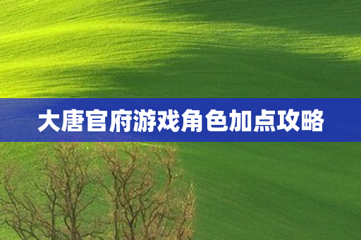 大唐官府游戏角色加点攻略 大唐官府游戏角色加点攻略