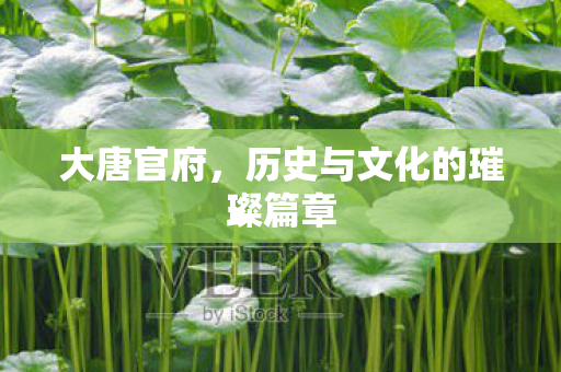 大唐官府,历史与文化的璀璨篇章 大唐官府,历史与文化的璀璨篇章