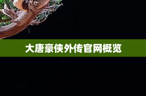 大唐豪侠外传官网概览 大唐豪侠外传官网概览