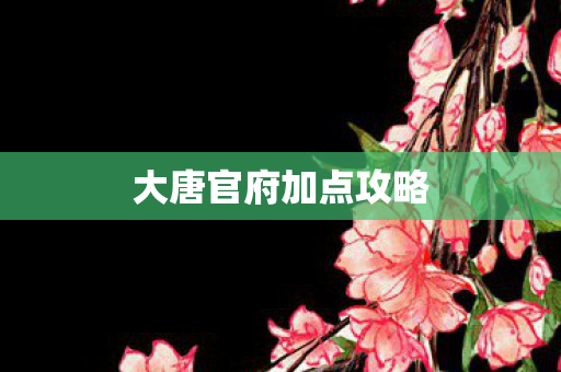 大唐官府加点攻略 大唐官府加点攻略