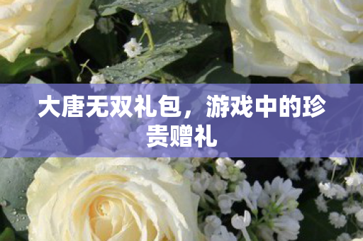 大唐无双礼包,游戏中的珍贵赠礼 大唐无双礼包,游戏中的珍贵赠礼