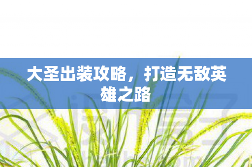 大圣出装攻略,打造无敌英雄之路 大圣出装攻略,打造无敌英雄之路