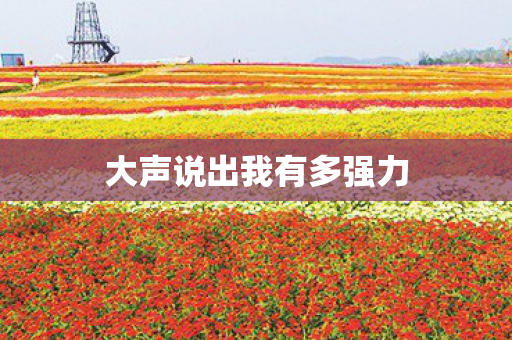 大声说出我有多强力 大声说出我有多强力