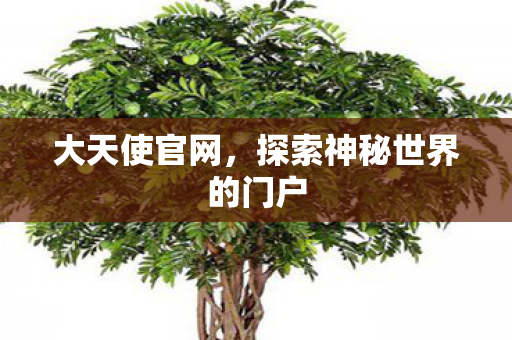大天使官网,探索神秘世界的门户 大天使官网,探索神秘世界的门户