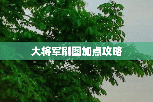 大将军刷图加点攻略 大将军刷图加点攻略