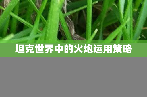 坦克世界中的火炮运用策略
