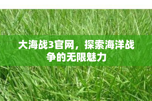 大海战3官网，探索海洋战争的无限魅力