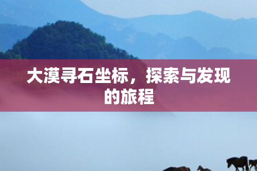 大漠寻石坐标,探索与发现的旅程 大漠寻石坐标,探索与发现的旅程