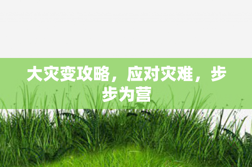 大灾变攻略，应对灾难，步步为营