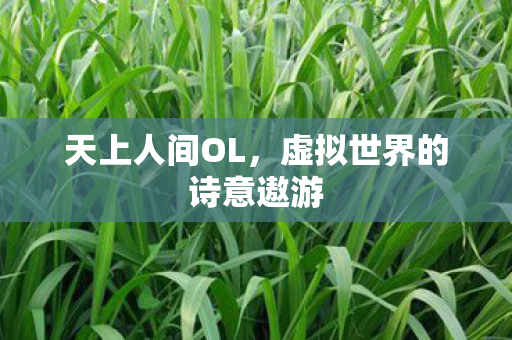 天上人间OL,虚拟世界的诗意遨游 天上人间OL,虚拟世界的诗意遨游
