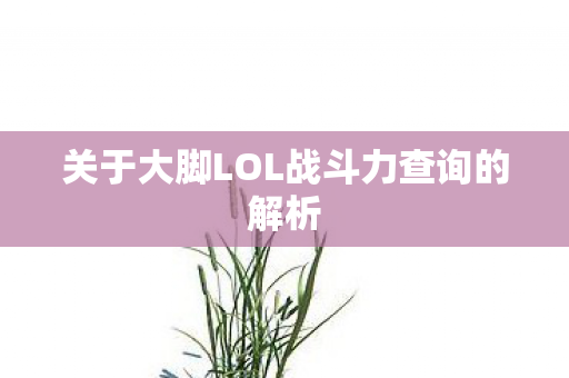 关于大脚LOL战斗力查询的解析 关于大脚LOL战斗力查询的解析
