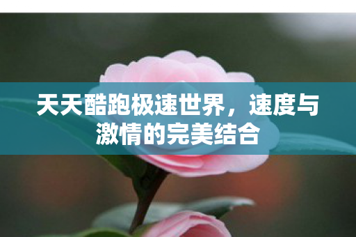 天天酷跑极速世界,速度与激情的完美结合 天天酷跑极速世界,速度与激情的完美结合
