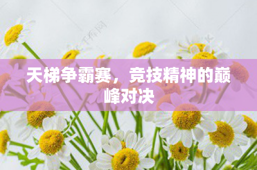 天梯争霸赛，竞技精神的巅峰对决