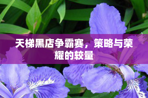 天梯黑店争霸赛，策略与荣耀的较量