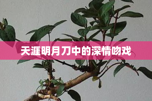 天涯明月刀中的深情吻戏 天涯明月刀中的深情吻戏