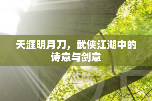 天涯明月刀,武侠江湖中的诗意与剑意 天涯明月刀,武侠江湖中的诗意与剑意