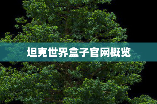 坦克世界盒子官网概览 坦克世界盒子官网概览