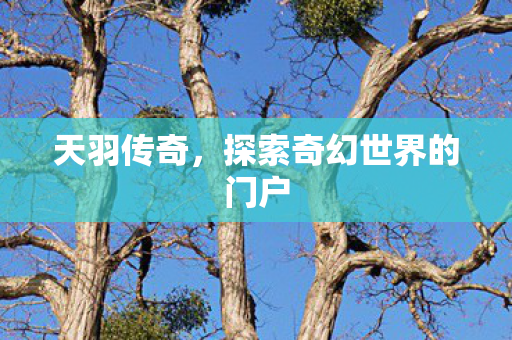 天羽传奇，探索奇幻世界的门户